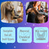 Morfose Professional Collagen Two Phase Conditioner